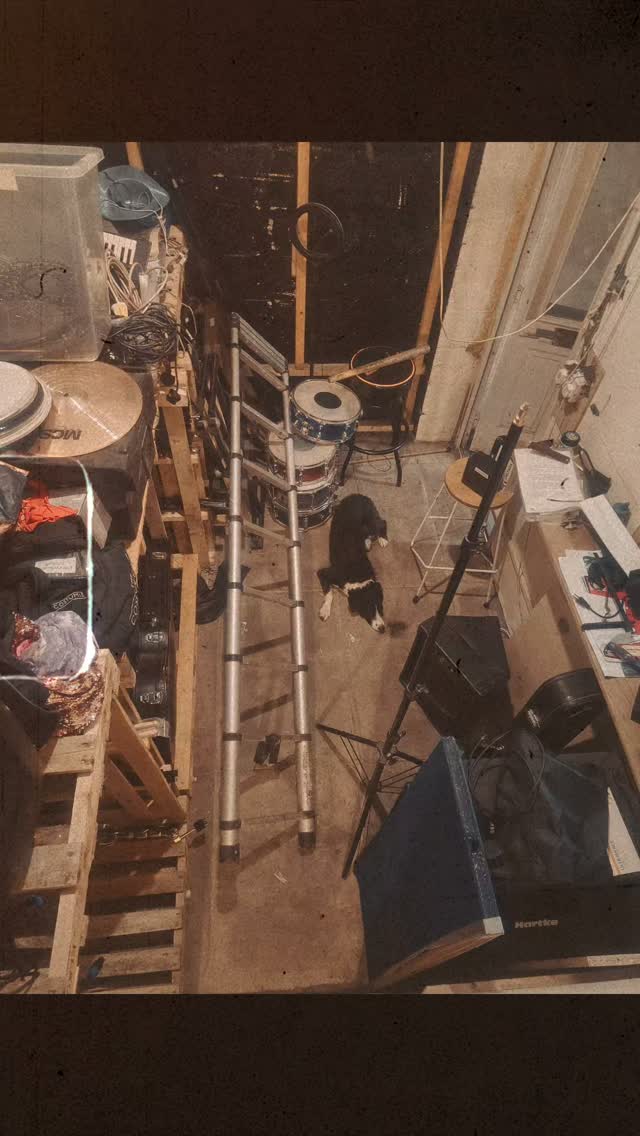 Don't fret. Help is on the way. The dog cannot lift the ladder and wouldn't want to if he could, it's hot. 

#dogsofinstagram #fallenladder #awaitingrescue