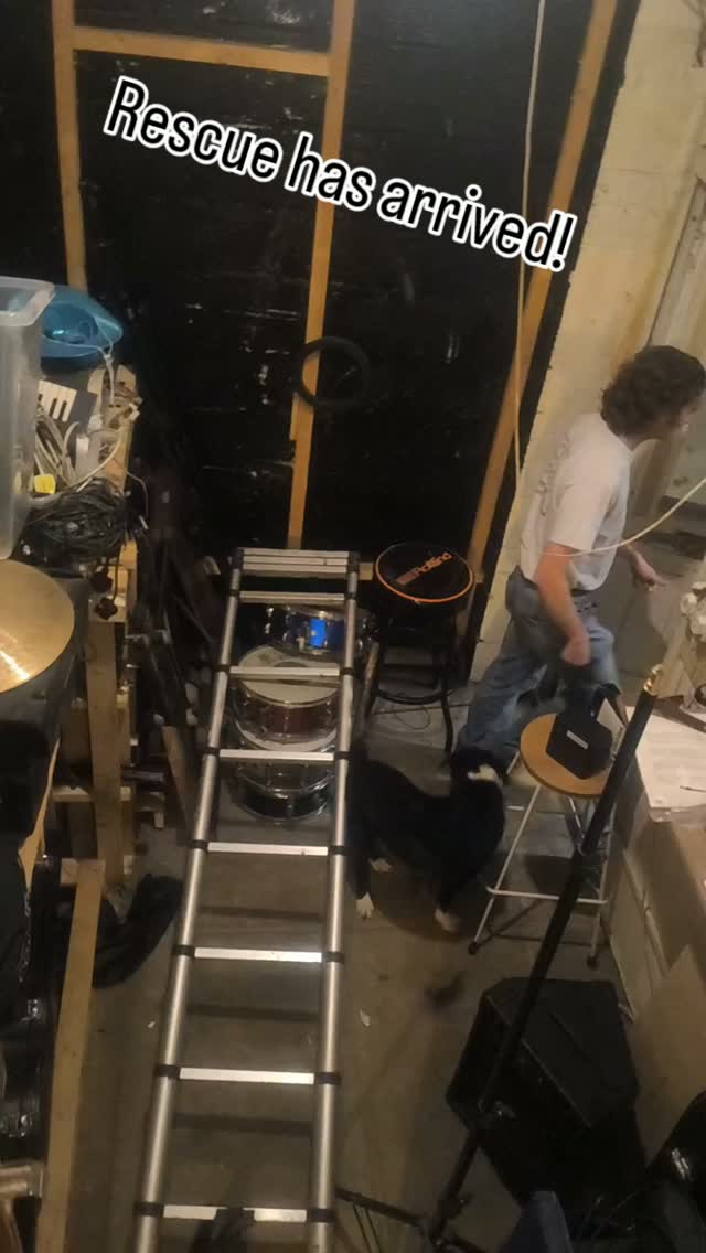 Finally @rhysjdavies_ graces me with his presence after nipping to the shop on the way to rescue his SUPER BESTEST BUD from the actual loft... I bleeped out the swears, I was just excited to be on terra firma! 

#ladderrescue #savedbythedrummer #getmedown