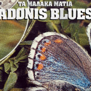 Ta Malaka Matia - ADONIS BLUES - CD